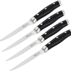 LAGOSTINA SET 4 COLTELLI BISTE CCA